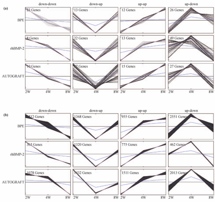 Organizing data about expressed traits quick check