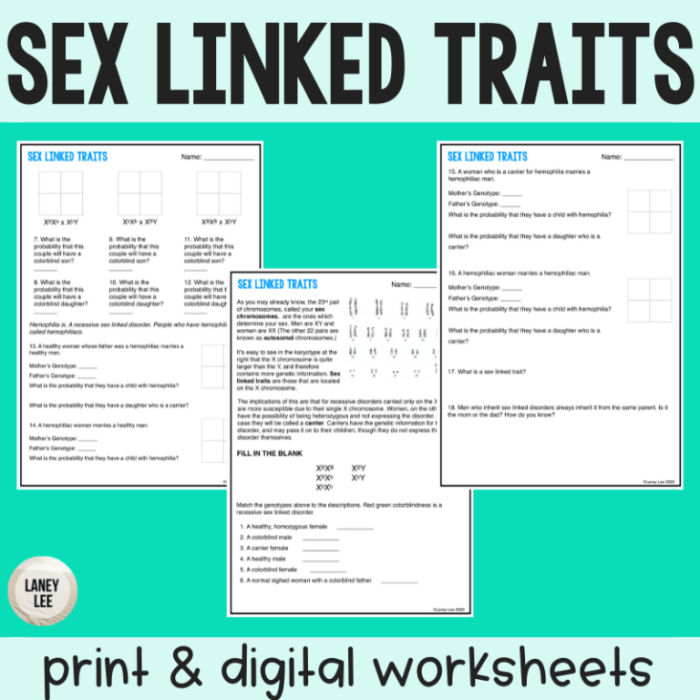 Amoeba sisters punnett squares and sex-linked traits answer key