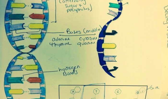 Dna helix plakaty genetyka biology