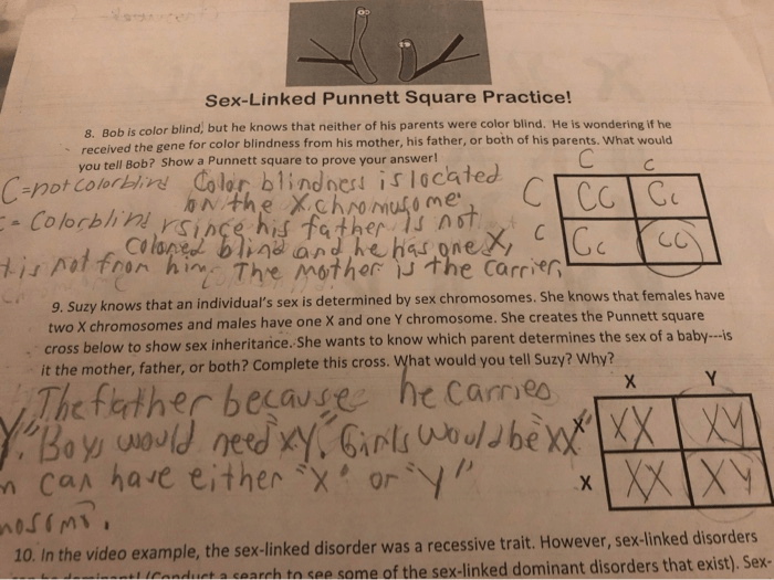 Traits educator chromosomes