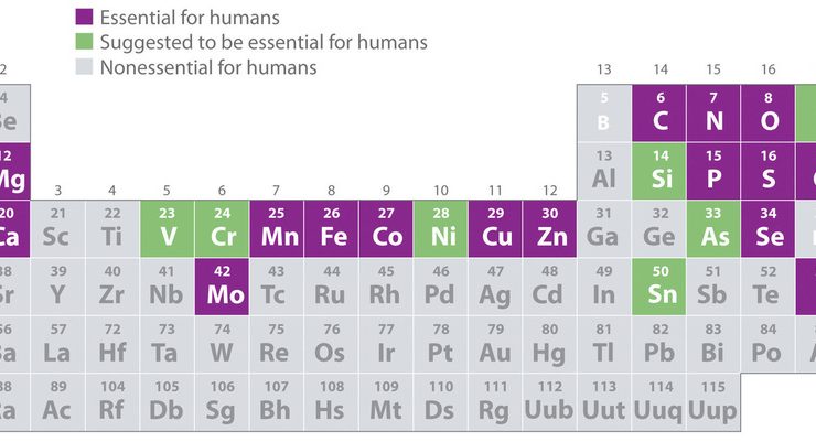 Which of the following statements regarding carbon is false