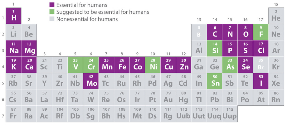 Which of the following statements regarding carbon is false