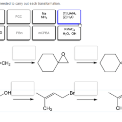 Reagents needed transformation