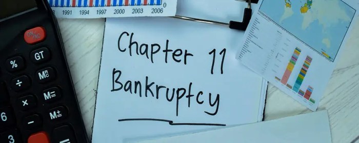 Bankruptcy chapter lawyer